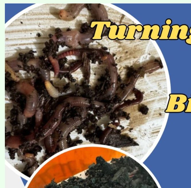 Turning Worms, Weeds, and Waste into a Biological Bounty